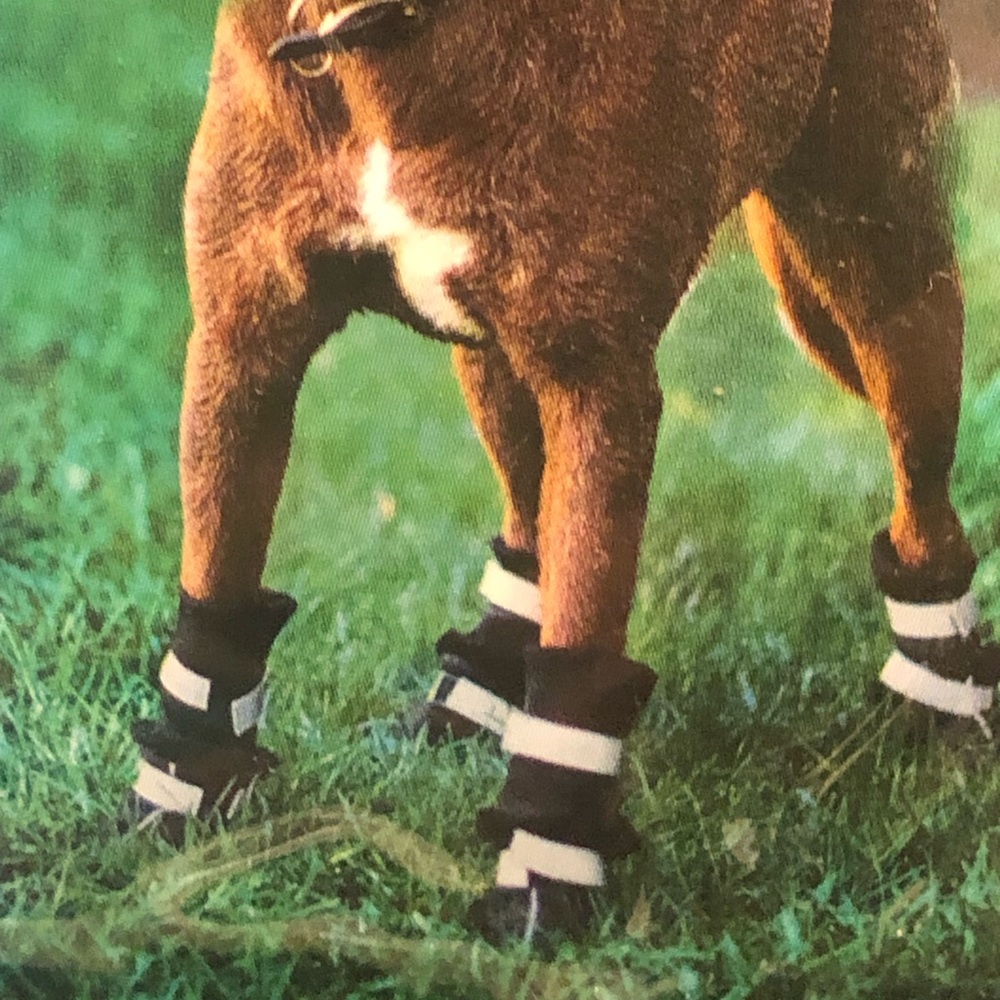 🟦SALE 5️⃣0️⃣% off🟦 
Dog Boots all weather fleece lining - Small NWT